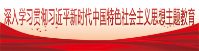 深入学习贯彻习近平新时代中国特色社会主义思想主题教育