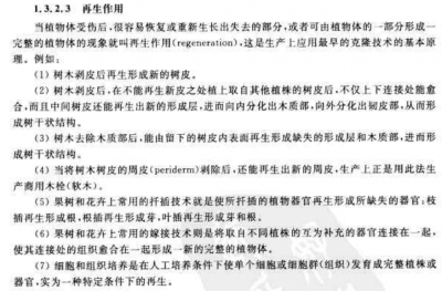 ​枣树挨打