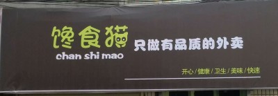这个猫不一般