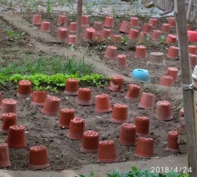 走心