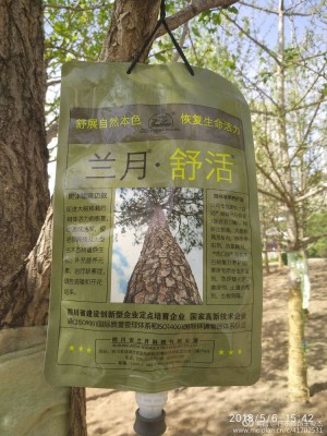 再说树木营养吊袋