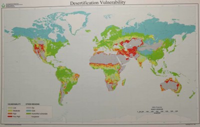 参观防沙治沙图片展有感