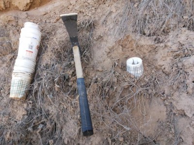 生态文明从小事说起