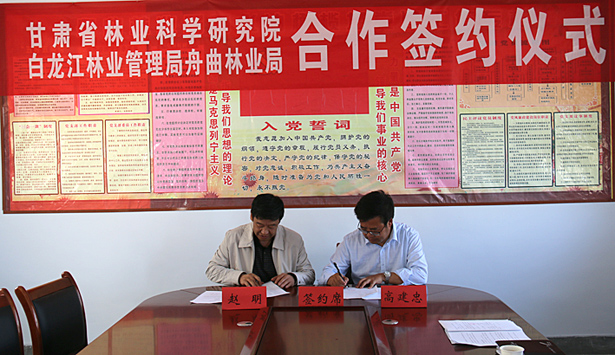 省林科院——国家级油橄榄科研基地在甘肃正式揭牌成立2.jpg