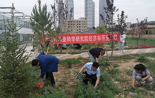 QQ图片20200623111609.jpg