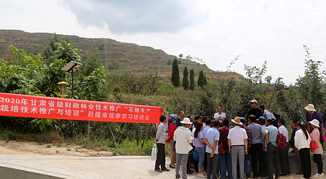 QQ图片20200707165628.jpg