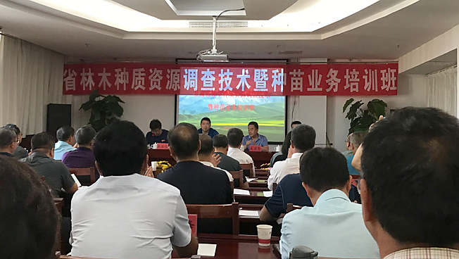 QQ图片20200810105430.jpg