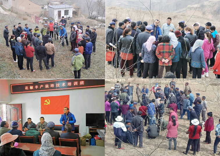 微信图片_20130101002529.png