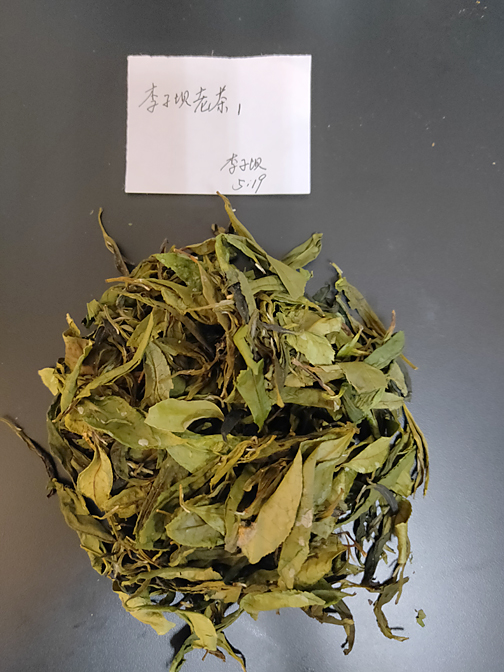 4. 烘干的样品.jpg