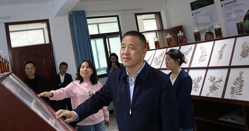微信图片_20260417103105_12_167.jpg