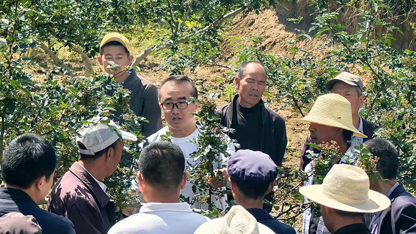 通讯图片2.jpg